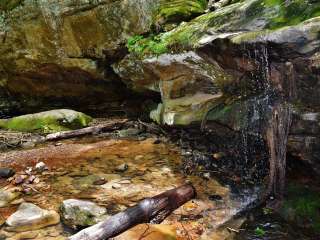 Pennyrile Forest State Resort Park