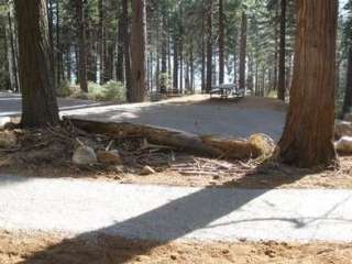 Ponderosa Cove Group Campground