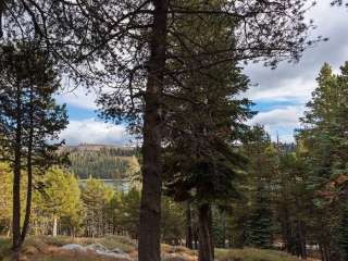 Silver Tip Campground (Lake Alpine)