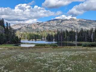 Silver Valley Campground