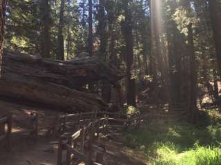 Hermit Valley Campground