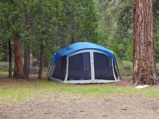 Stanislaus National Forest Brightman Flat Campground