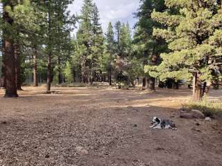 Centerville Flat Campground