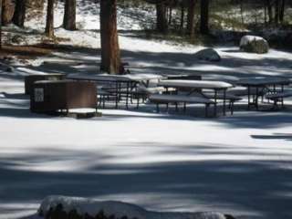 Wawona Campground — Yosemite National Park