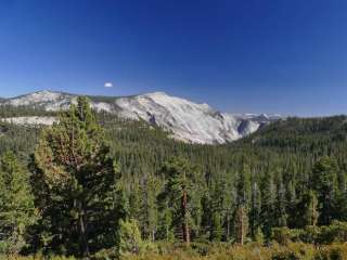 Hodgdon Meadow Campground — Yosemite National Park