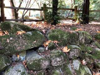 Uvas Canyon County Park