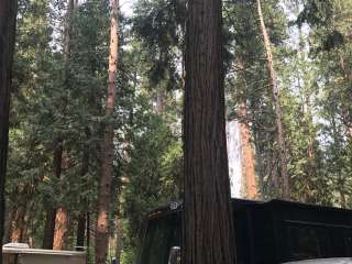 Yosemite Valley Backpacker's Campground — Yosemite National Park