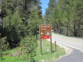 Bridalveil Creek Campground — Yosemite National Park