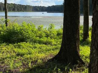 Pinewoods Lake Campground