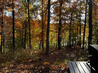 Tims Ford State Park Main Campground — Tims Ford State Park