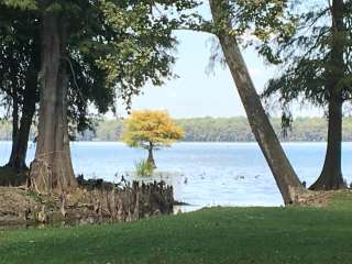 South Campground — Reelfoot Lake State Park