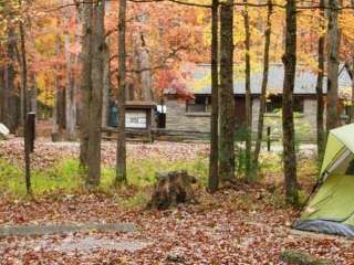 Cades Cove Campground — Great Smoky Mountains National Park