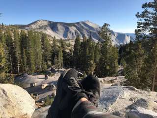 Porcupine Flat Campground — Yosemite National Park