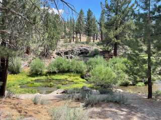 Big Springs Campground