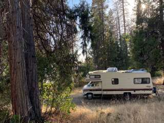 Sequoia Forest Hunting Area - FS 13597