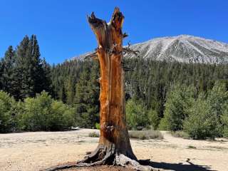 Rock Creek Lake Campground