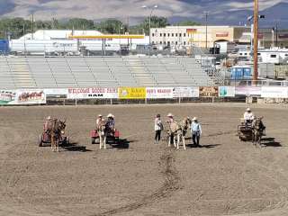 Eastern Sierra Tri County Fair