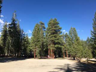 Hartley Springs Campground