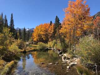 Inyo National Forest Table Mountain Group Campground