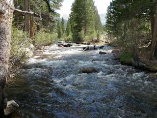 Palisade Campground