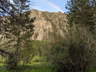 Sawmill Meadows Campground