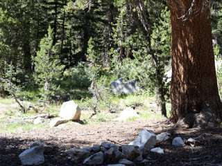 White Mountains Dispersed Parking