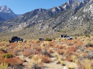 Hogback Creek Road