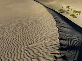 Clayton Valley Sand Dunes