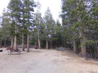 Palisade Group Campground