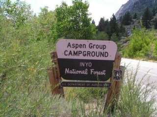 Aspen Group Campground