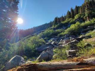 Cold Springs Campground — Sequoia National Park