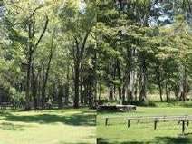 Maple Springs Campground — Mammoth Cave National Park