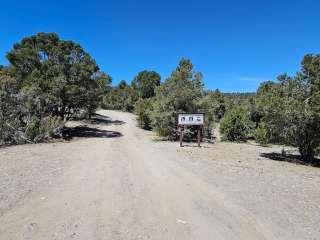  Blue Tree Group Camp