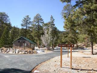 Toiyabe National Forest McWilliams Campground