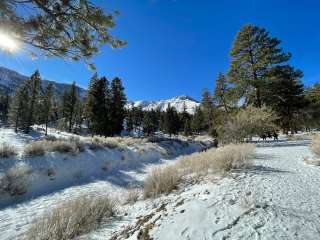 Kyle Canyon Campground