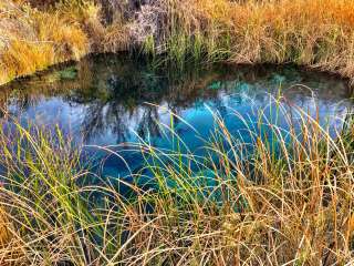 Ash Meadows Dispersed Camping