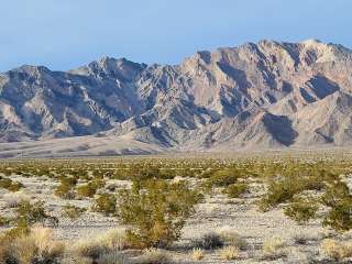 Desert Campsite The Pads