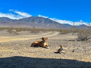 Mesquite Rd BLM Dispersed