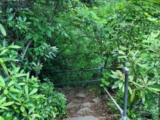 Crabtree Falls Campground — Blue Ridge Parkway