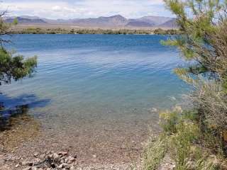 Carp Cove in Lake Mohave