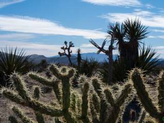 Pot Cove in Lake Mohave