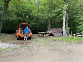 Jenny's Creek Family Campground