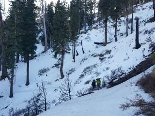 Little Jimmy Trail Campground