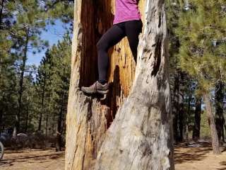 Chula Vista Campground at Mt. Pinos