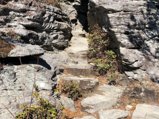 Table Rock Campsites (Linville Gorge Wilderness)