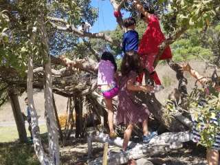 Refugio State Beach Campground — Refugio State Beach