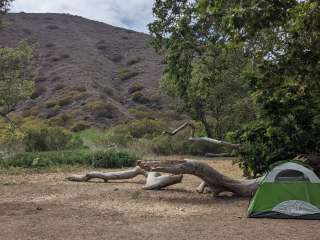 Sycamore Campground