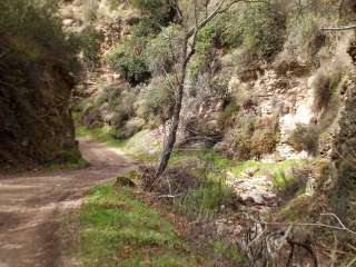 Colson Canyon Campground