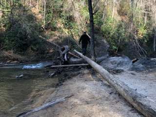 Panther Creek Recreation Area Camping