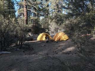 Holcomb Valley Climbers Camp